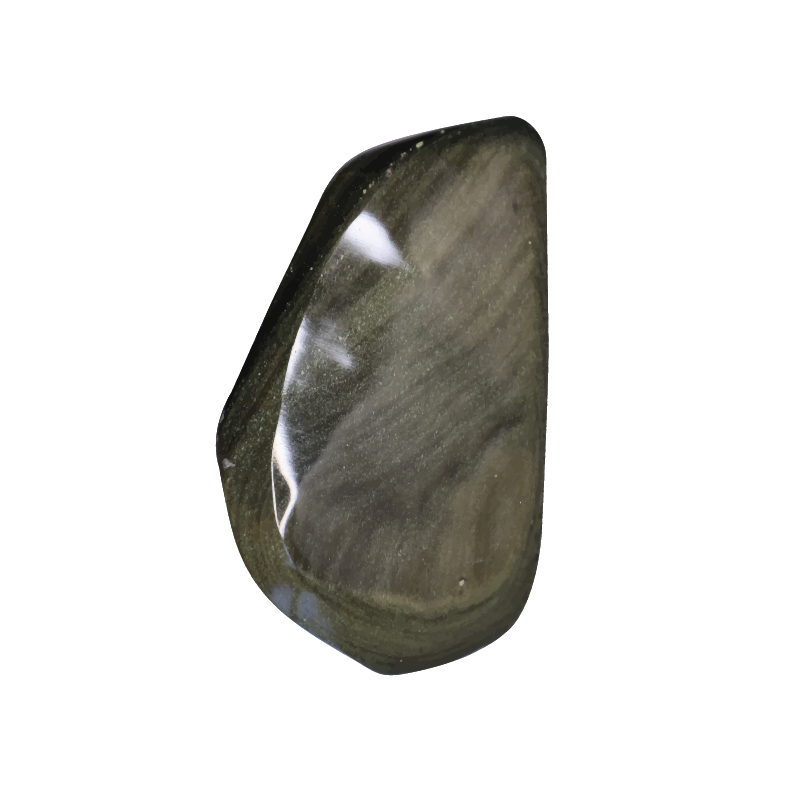 Obsidiana Digital | Científicos